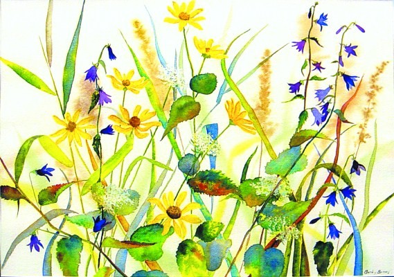 Wild Flowers