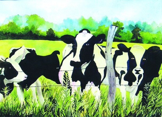 Cow Paintings